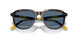 500380 - Tortoise - Dark Blue