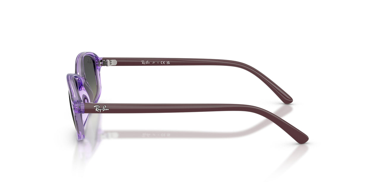 719911 - Violet - Gradient Grey