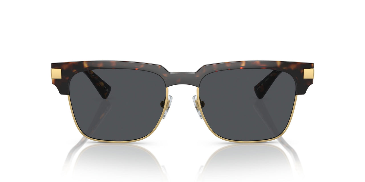 108/87 - Tortoise - Dark Grey