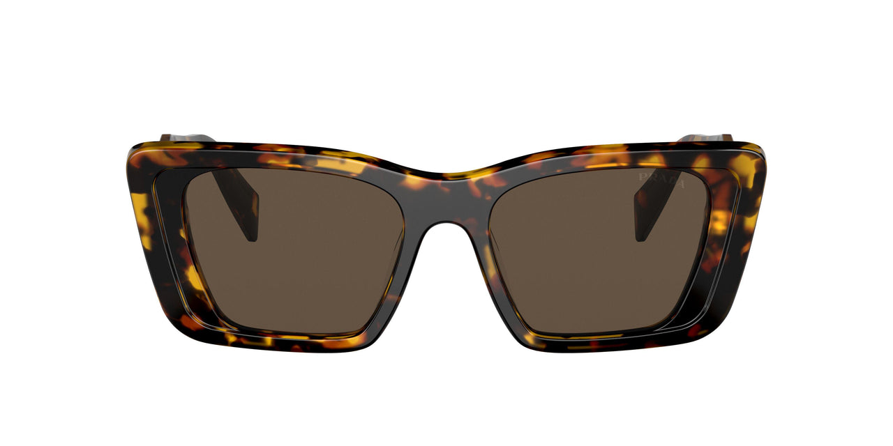 01V8C1 - Havana - Dark Brown