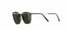 5540 - Brown marbled / Champagne - SLM Green