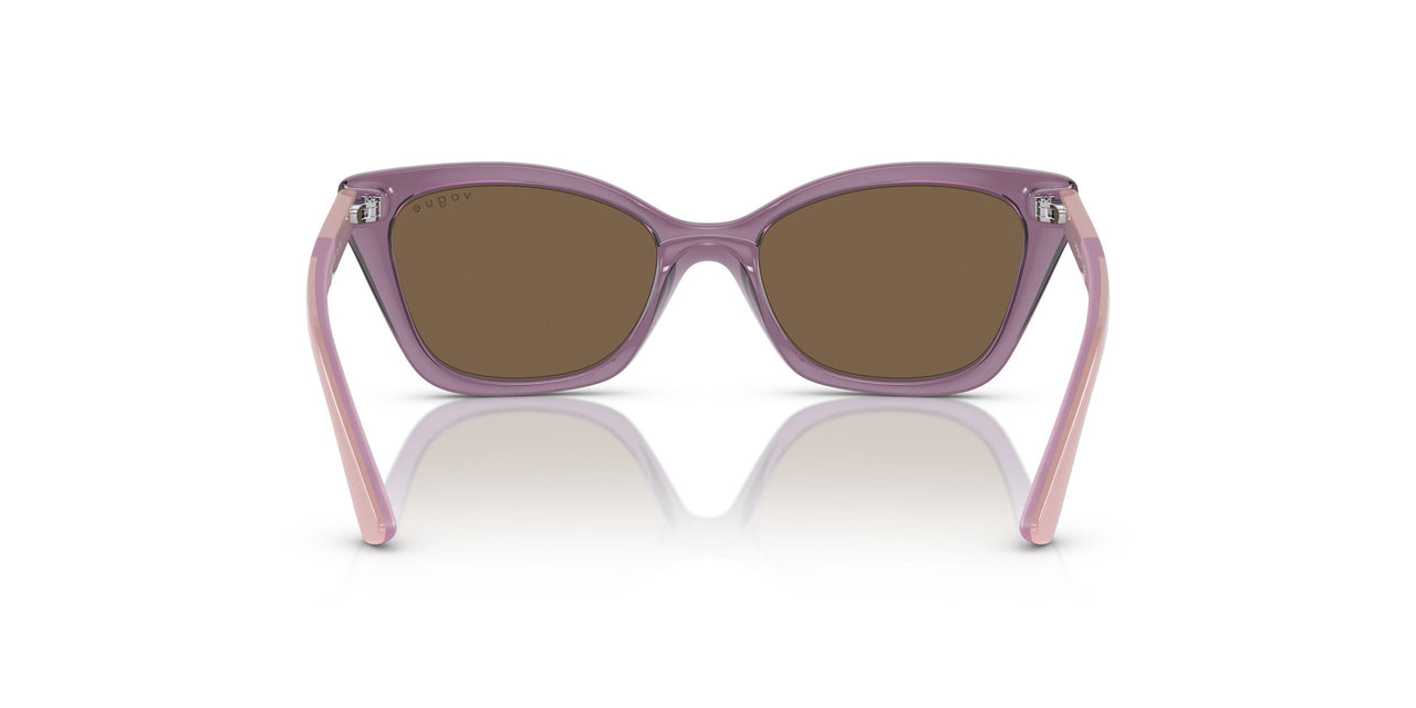 306473 - Transparent Violet - Dark Brown