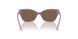 306473 - Transparent Violet - Dark Brown