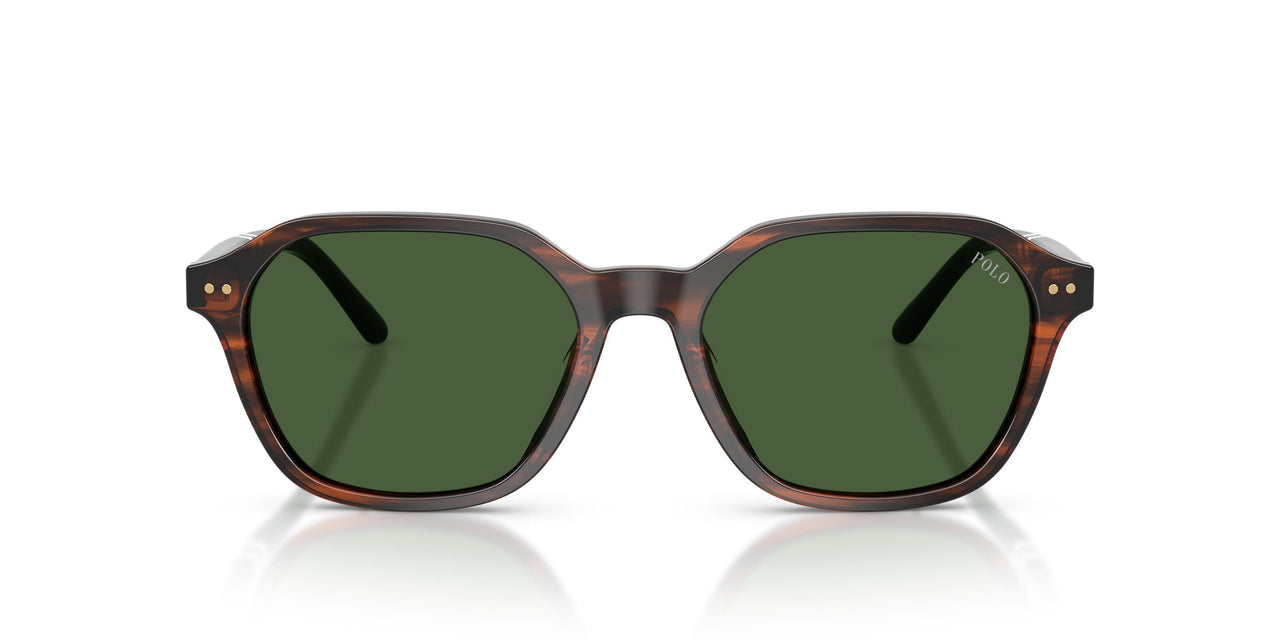 631571 - Brown - Bottle Green