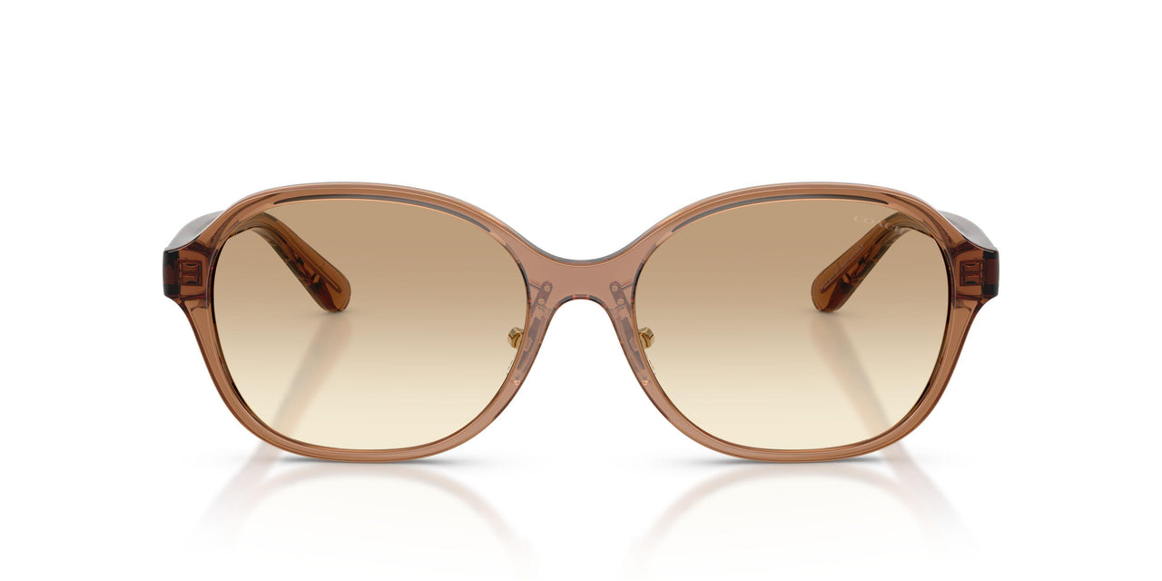 565413 - Brown - Clear Brown
