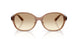 565413 - Brown - Clear Brown