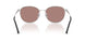 400173 - Silver - Light Brown