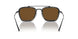801557 - Black - Brown Polar