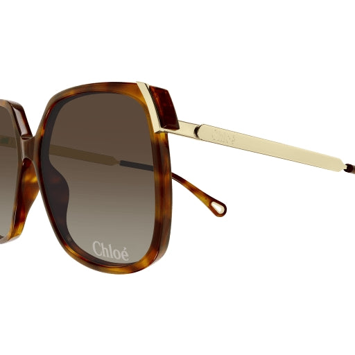 002 - Havana/Gold - Brown