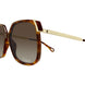 002 - Havana/Gold - Brown