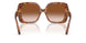 338013 - Tortoise - Brown Gradient