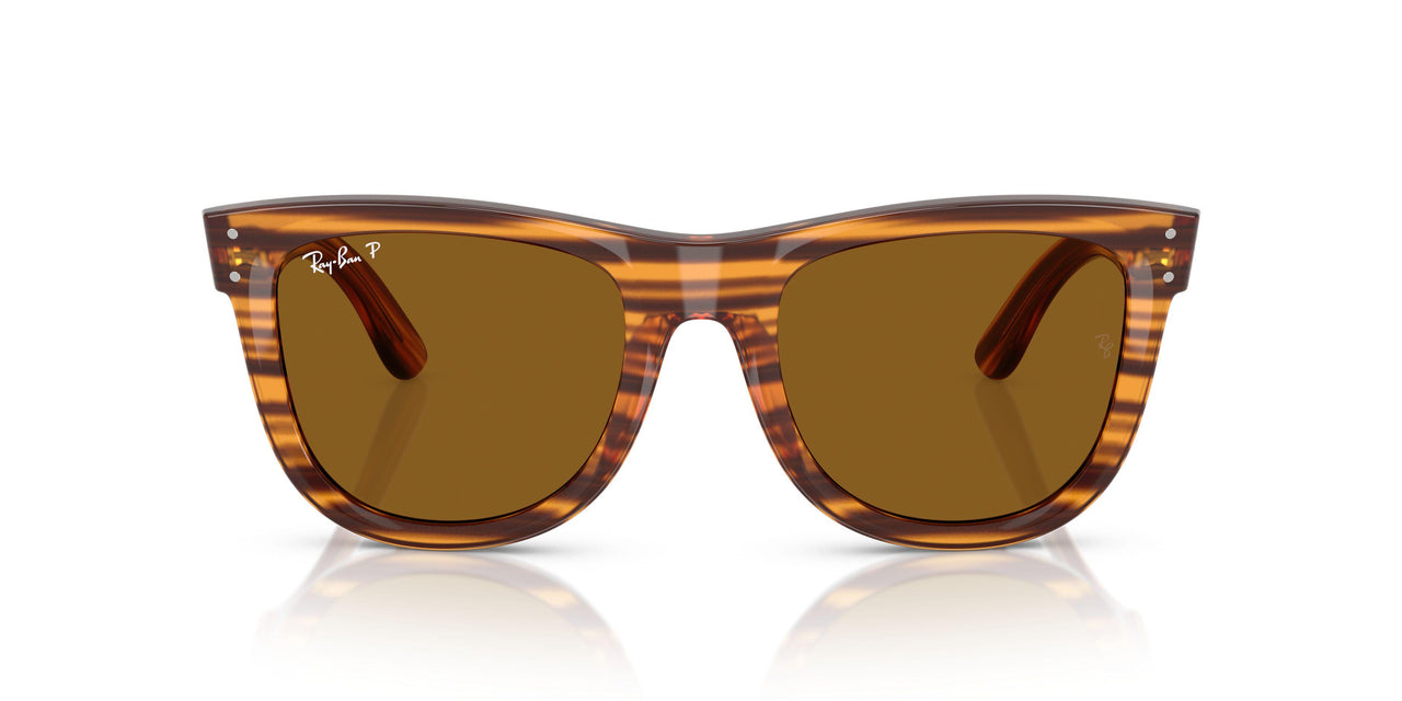 679183 - Brown - Polar Dark Brown