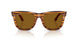 679183 - Brown - Polar Dark Brown