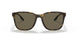 58106H - Havana - Brown