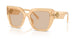 308993 - Brown - Light Brown