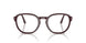 1241 - Violet