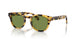 170152 - Black - Green C