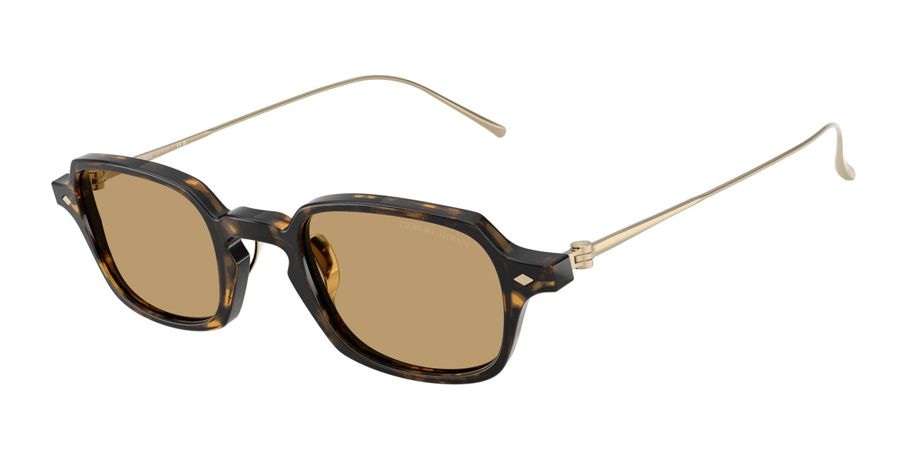 620773 - Tortoise - Brown