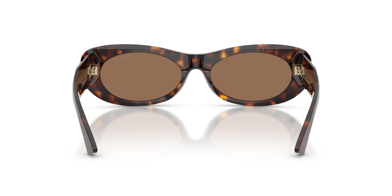 500273 - Tortoise - Dark Brown