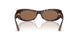 500273 - Tortoise - Dark Brown