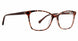 BLST - Blush Tortoise