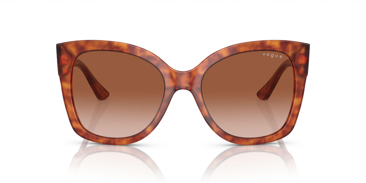 279213 - Havana - Brown Gradient
