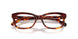 5938 - Tortoise