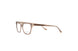 10 - CLEAR BROWN