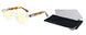 08701 - Crystal Tortoise - Amber