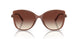 354813 - White - Brown Sunset Gradient