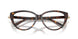 8015 - Tortoise