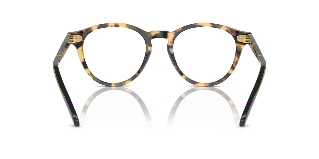 5004 - Shiny Tortoise Brown