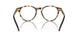 5004 - Shiny Tortoise Brown