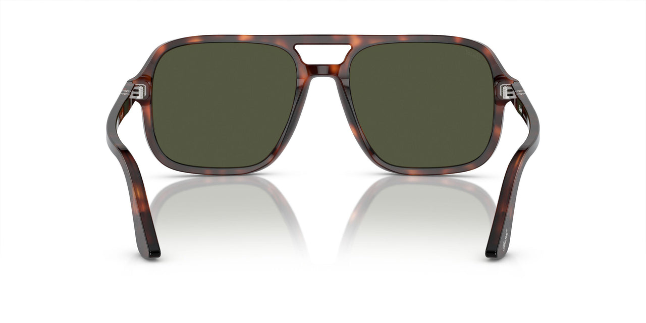 24/31 - Tortoise - Green