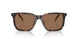 500373 - Tortoise - Dark Brown
