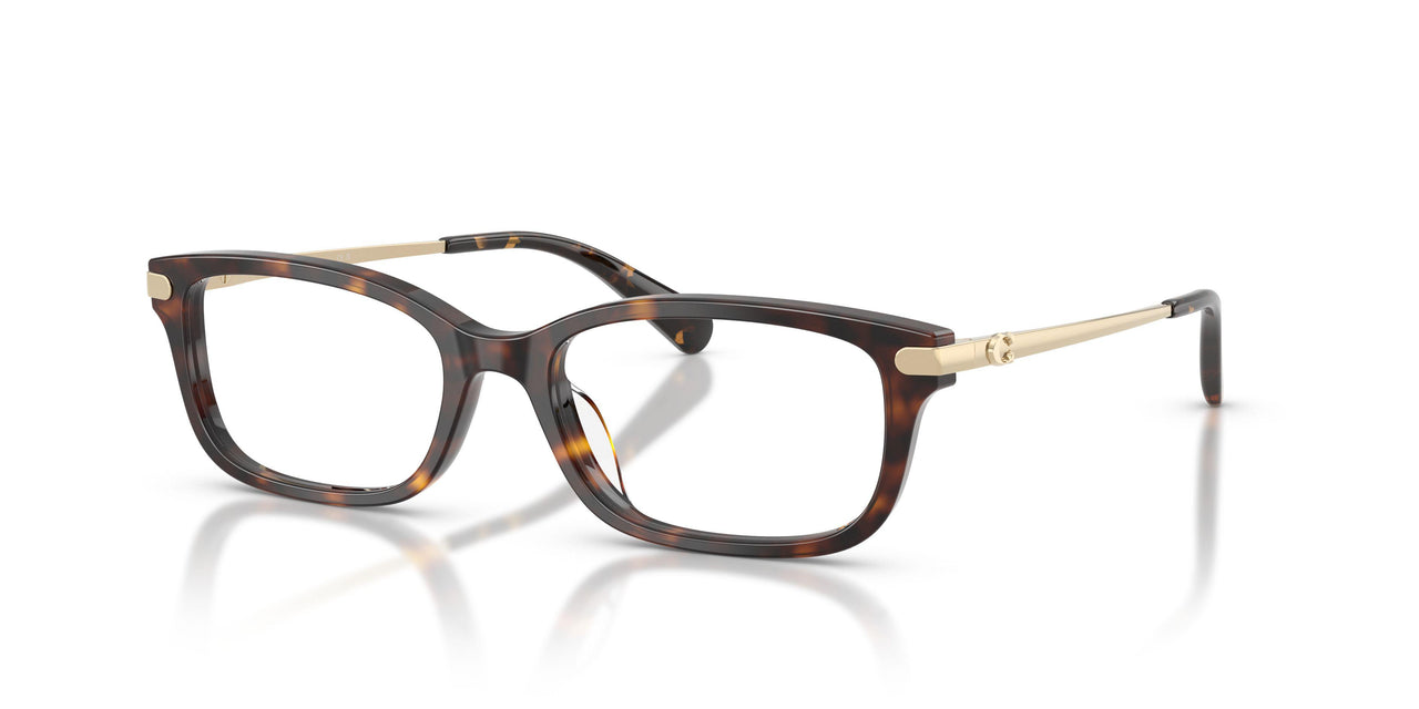 5120 - Tortoise