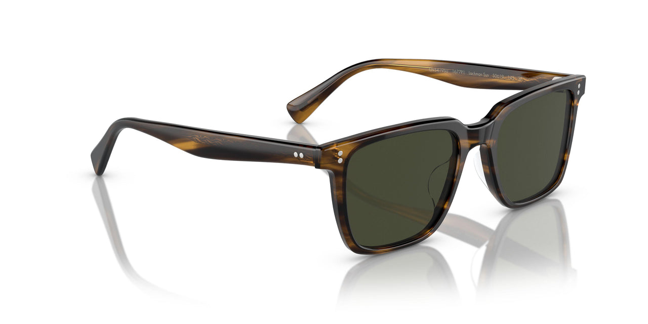 1677P1 - Brown - G15 Polar