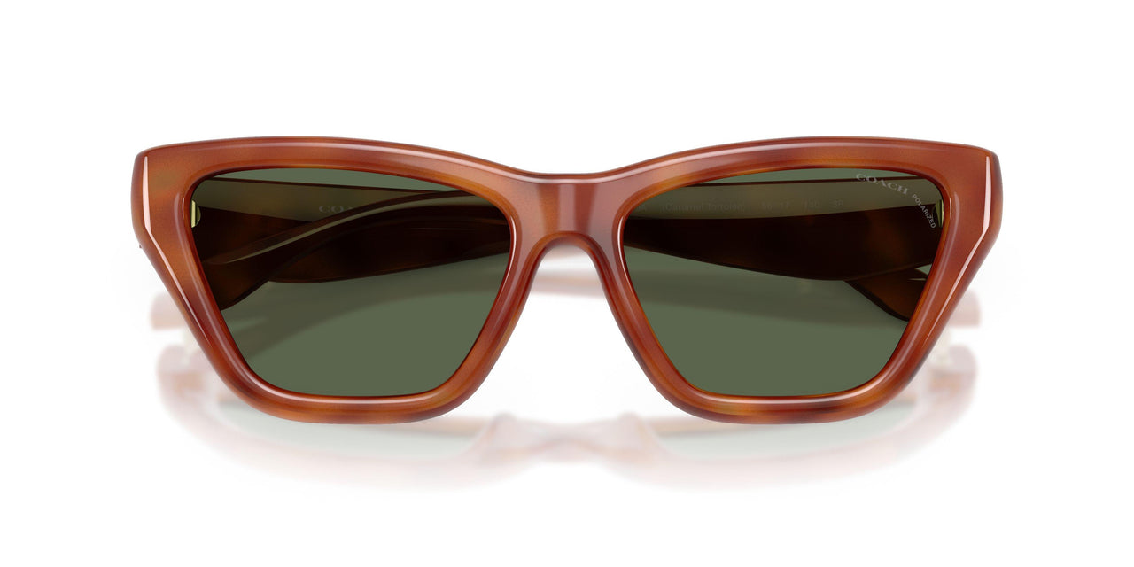 57749A - Tortoise - Green Solid Polarized