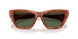 57749A - Tortoise - Green Solid Polarized