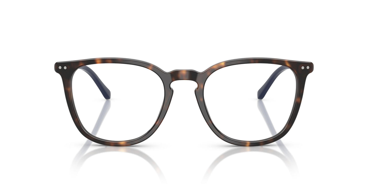 5003 - Tortoise