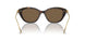 100273 - Tortoise - Dark Brown
