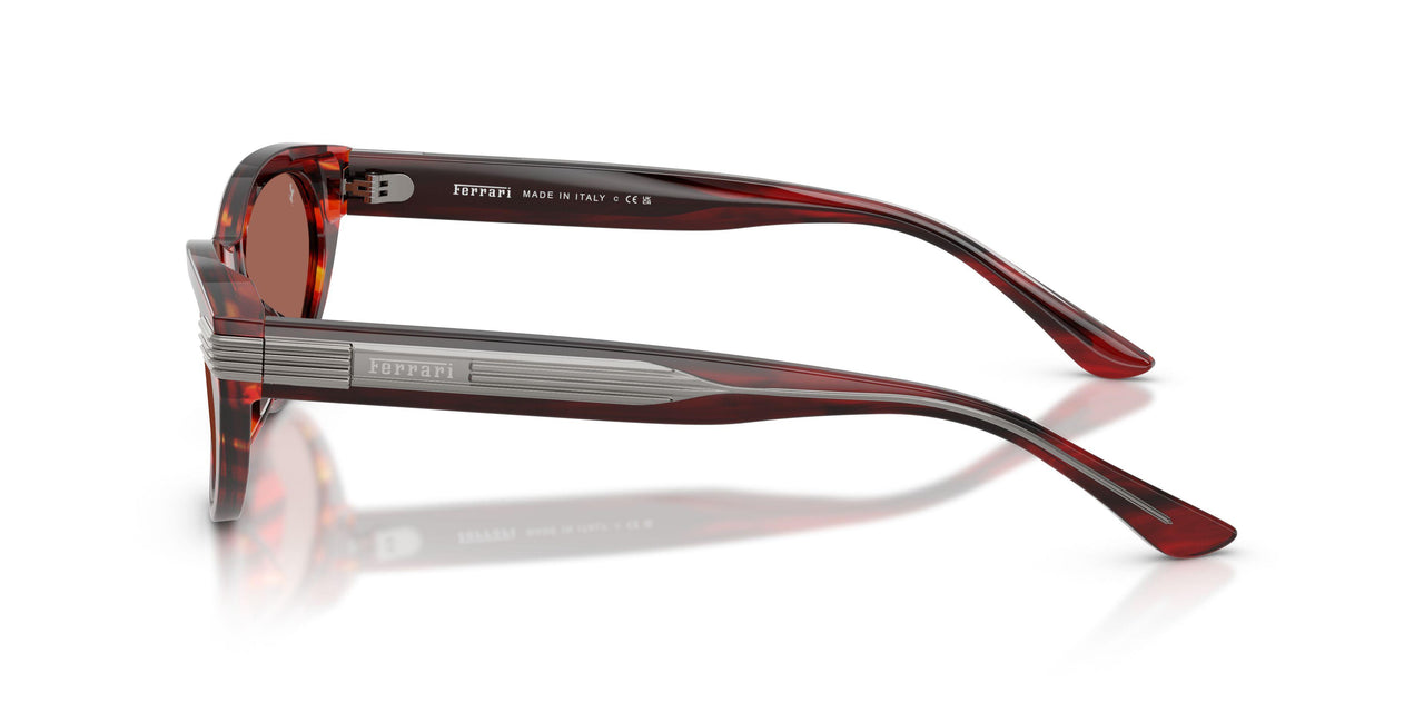 753/H2 - Tortoise - Brown