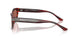 753/H2 - Tortoise - Brown