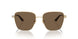 300673 - Gold - Dark Brown
