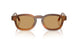 616373 - Tortoise - Brown