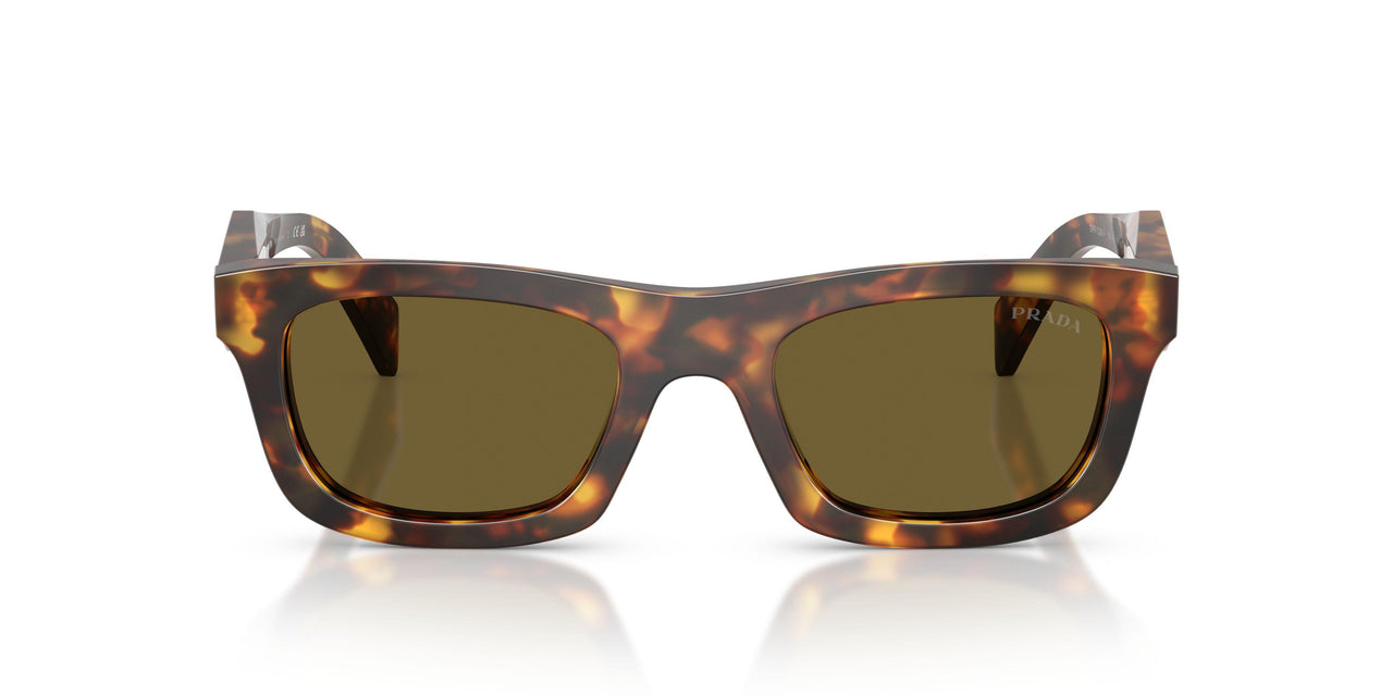 14L09Z - Tortoise - Dark Brown