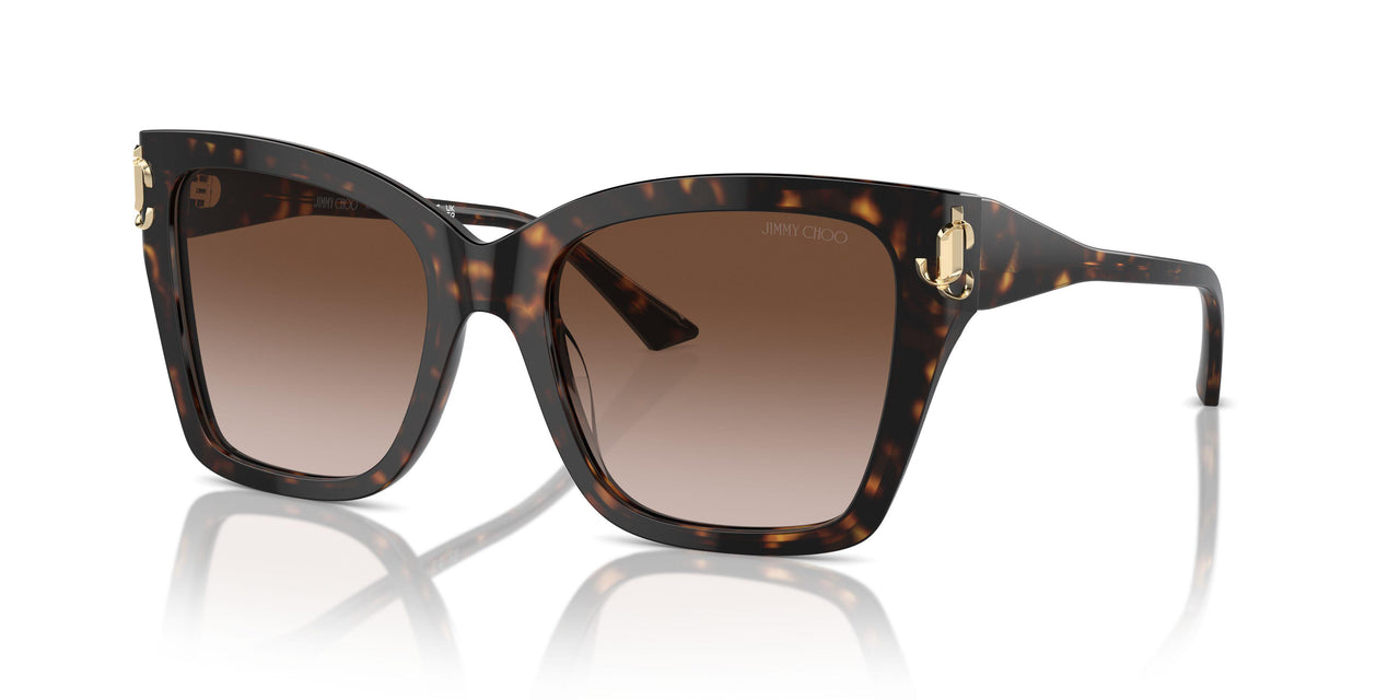 500213 - Tortoise - Gradient Brown