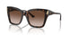 500213 - Tortoise - Gradient Brown
