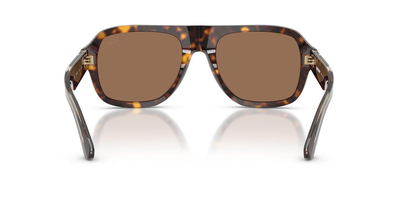 420573 - Brown - Dark Brown