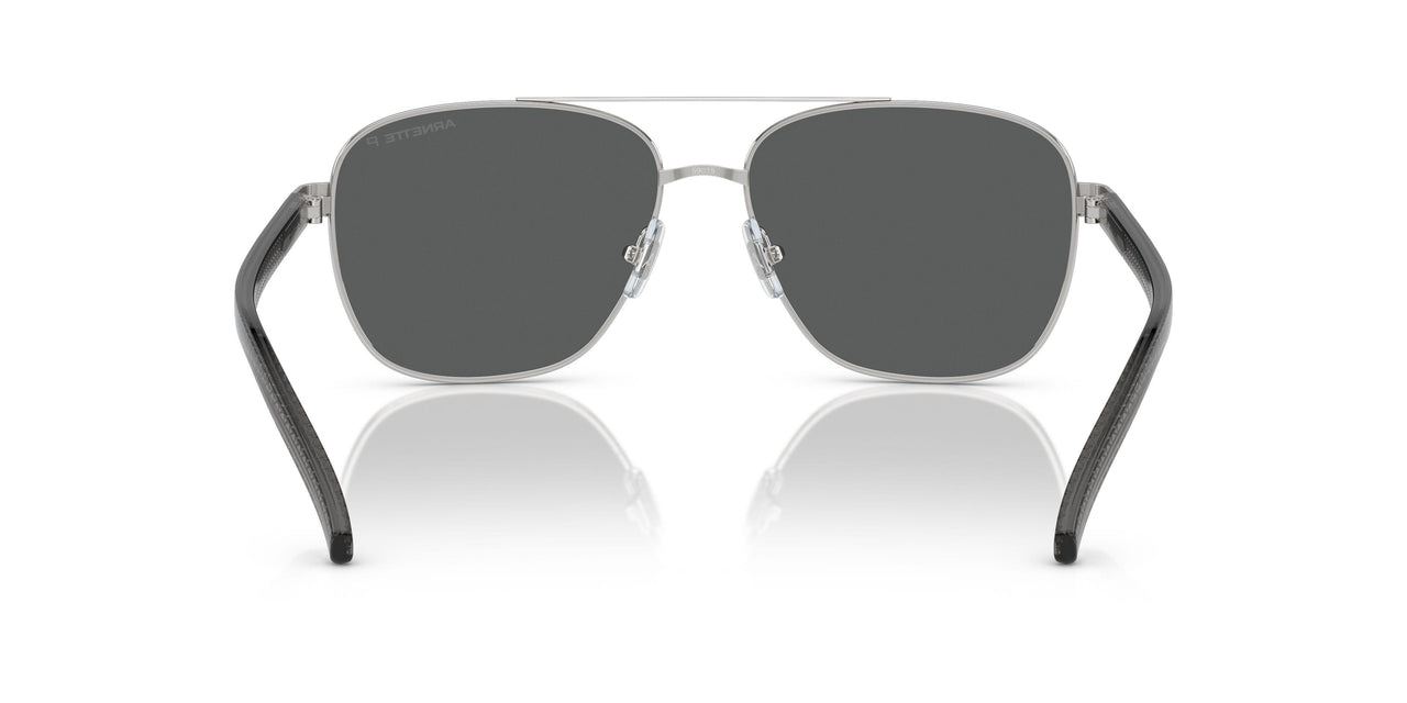 755/81 - Silver - Polarized Grey
